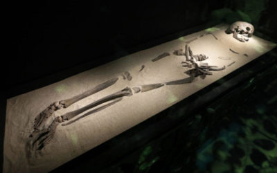 Trijntje: the oldest grave ever found in the Netherlands