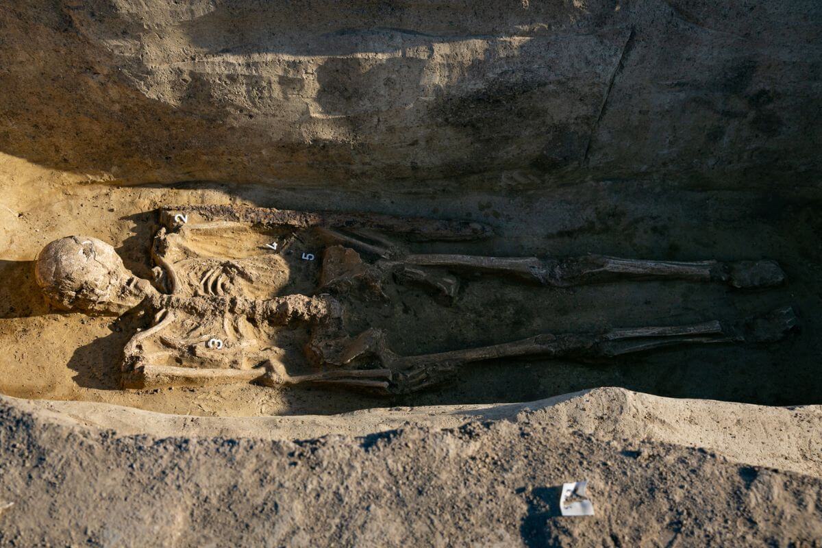 Hosszúkás koponyát találtunk a M100-as autópálya feltárásánál
