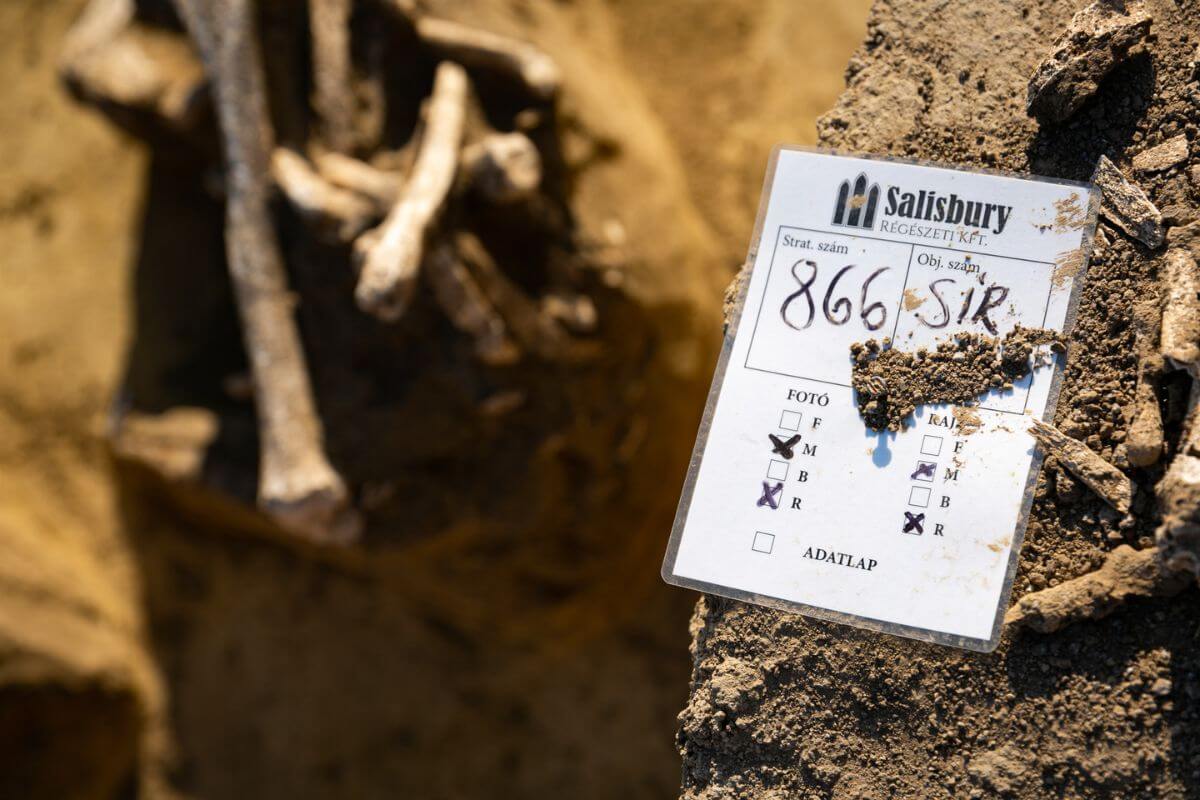 Hosszúkás koponyát találtunk a M100-as autópálya feltárásánál