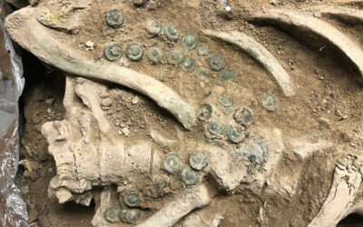 Különleges leletek kerültek elő a Fajsz-kovácshalmi sírokból